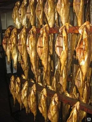 Комплект оборудования производство посола и копчения рыбы