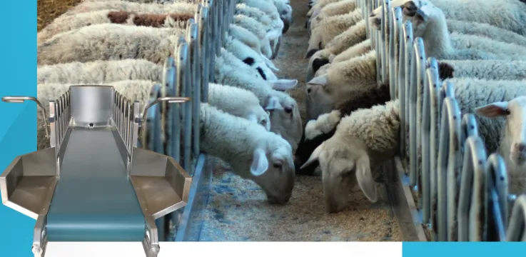 Кормовая лента для овец и коз из нержавеющей стали
