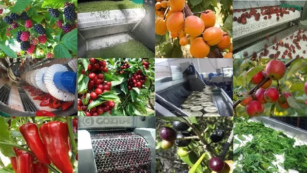Машины для переработки овощей, фруктов и ягод