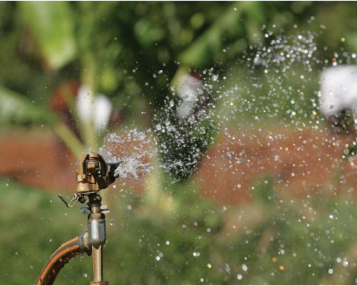 GRUNDFOS предлагает доступное решение для систем водоснабжения дома, а также для систем полива и ирригации