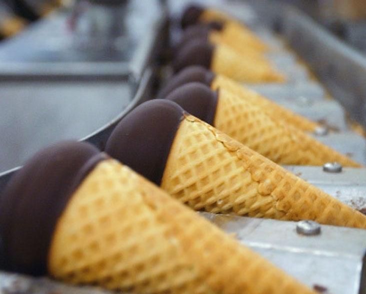 Эстонская компания построит в Новгородской области завод мороженого