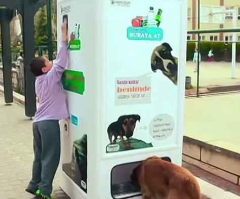 В Турции автоматы кормят бездомных животных