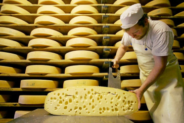 Производство сыра: доходное дело для серьезных инвесторов
