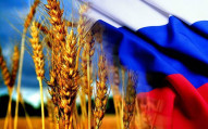 Организация экспорта зерна: как стать зернотрейдером?