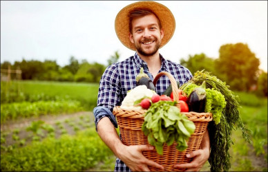 Крестьянско-фермерское хозяйство: как успешно начать и зарабатывать прибыль