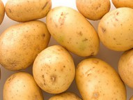 Выращиваем и продаем картофель