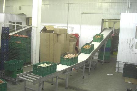 Конвейерный автоматизированный комплекс для мясной продукции