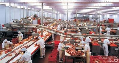 Мини завод по переработке мяса