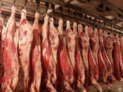 Мини-завод по переработке мяса
