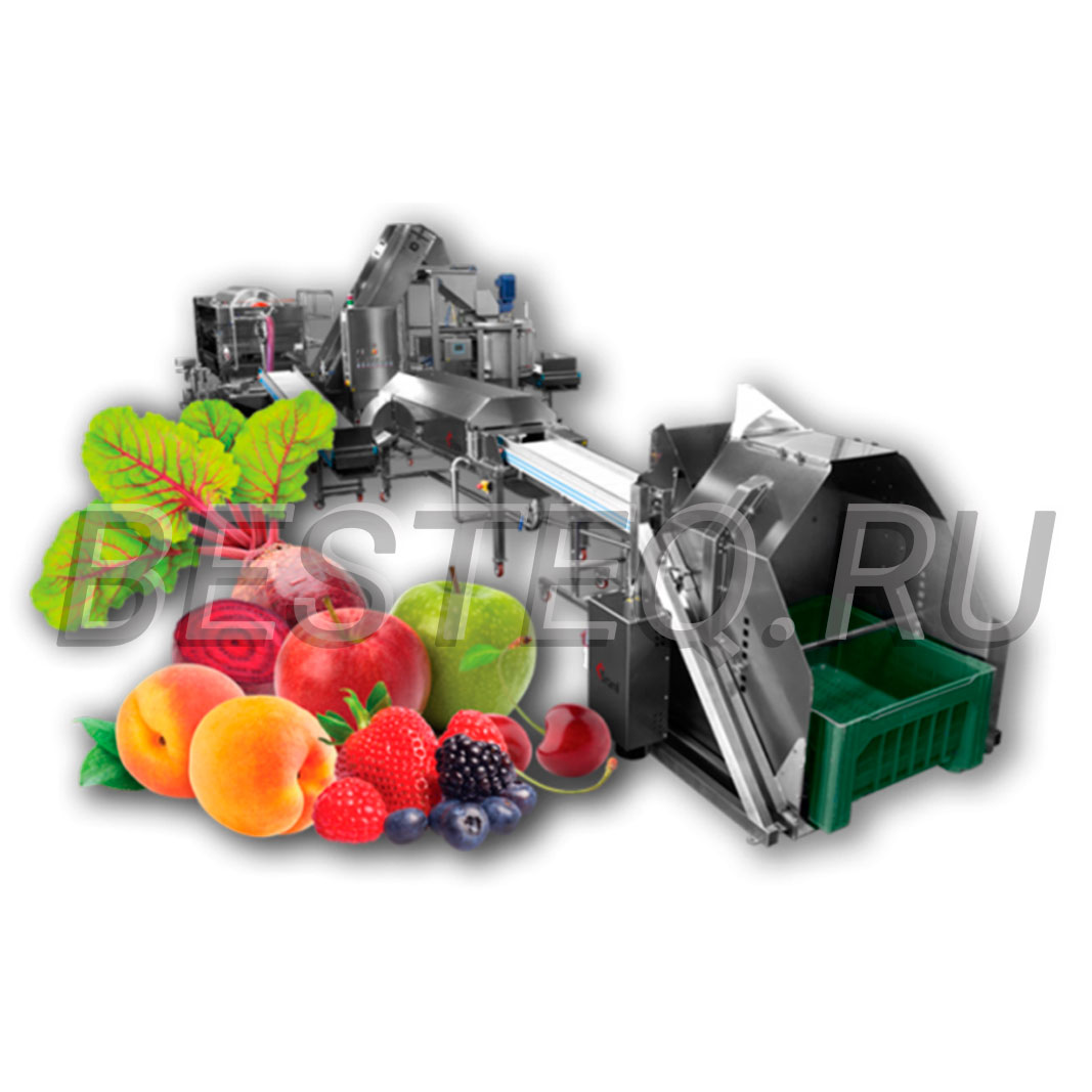Цех переработки фруктов. Переработка яблок оборудование. Оборудование для переработка фруктов. Современное оборудование для выжимки соков. Переработка овощей.