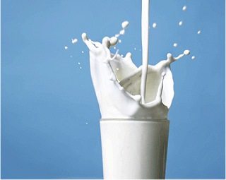Производство молока в сельхозорганизациях за 11 месяцев увеличилось на 2,1%