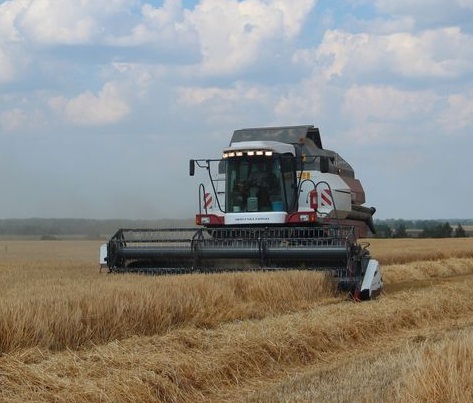 Ростовские аграрии собрали более 10 млн. тонн зерна и побили свой рекорд