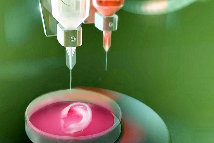 В России создали технологию 3D-печати ткани человека из живых клеток