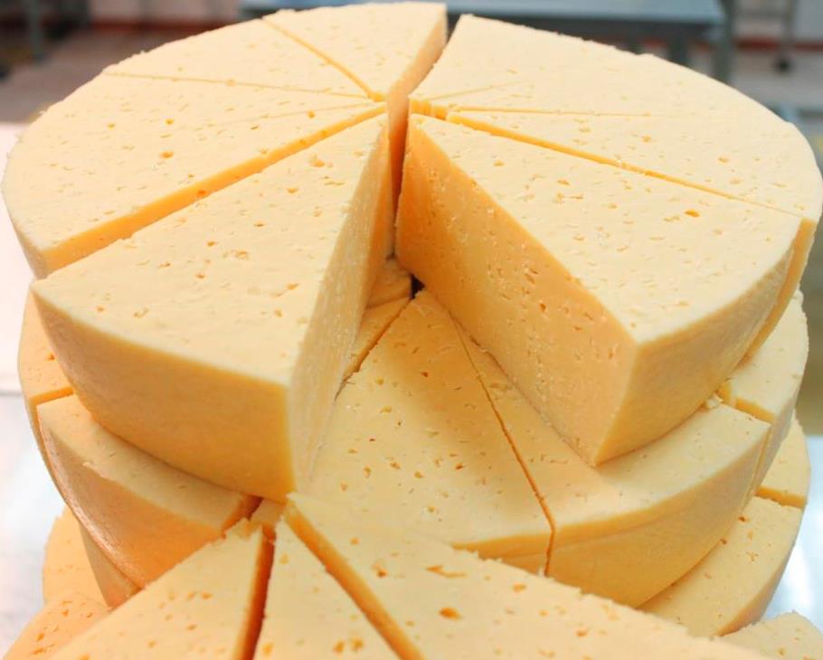 В Карелии планируется построить завод по производству сыров