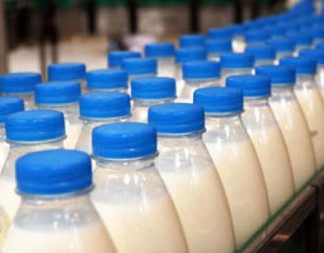 В Забайкалье появится новый молочный комбинат
