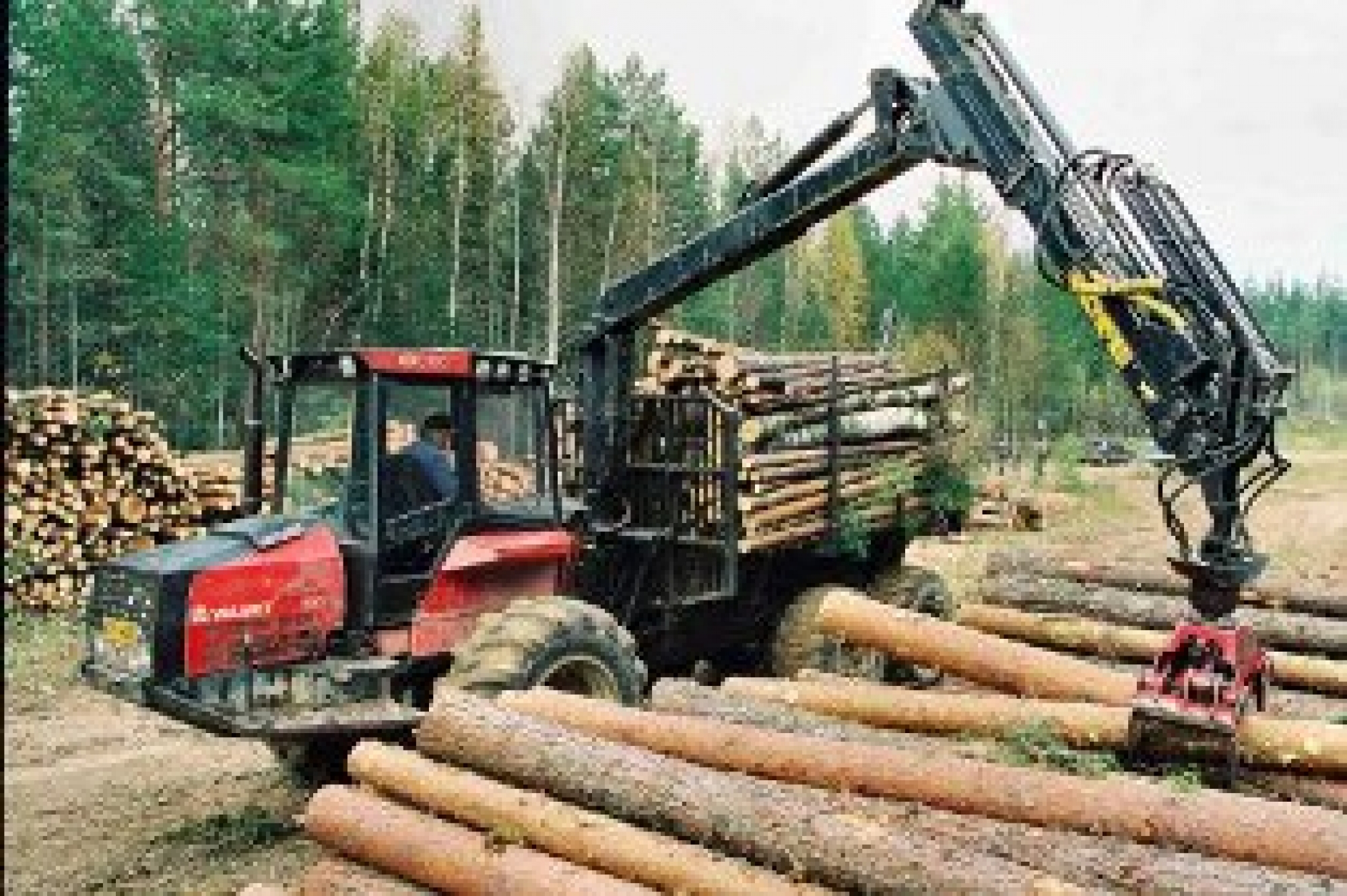 В Архангельске появится инновационный лесопромышленный комплекс