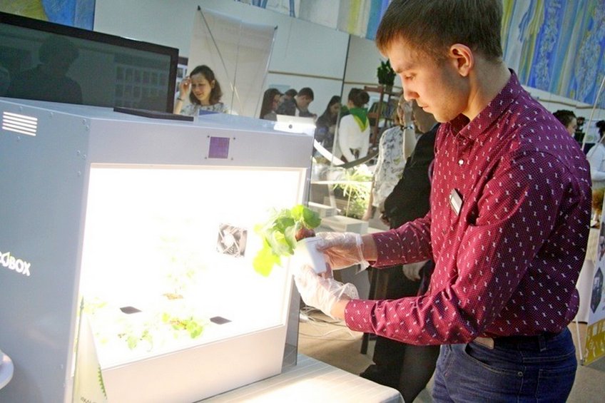 Студенты Уральского ГАУ разработали уникальный экобокс для круглогодичного выращивания растений