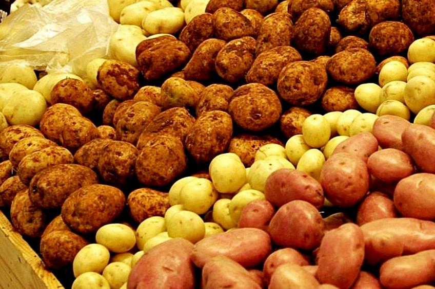 Роскачество проверило картошку на российском рынке