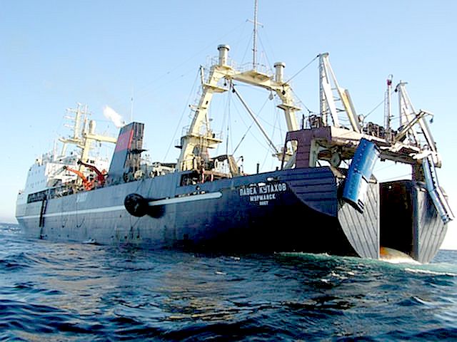 Китайцев обяжут продать рыболовецкие активы на Дальнем Востоке