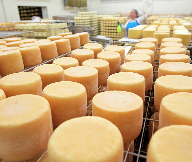 Производство мороженого и сыра впервые планируют открыть на Ямале