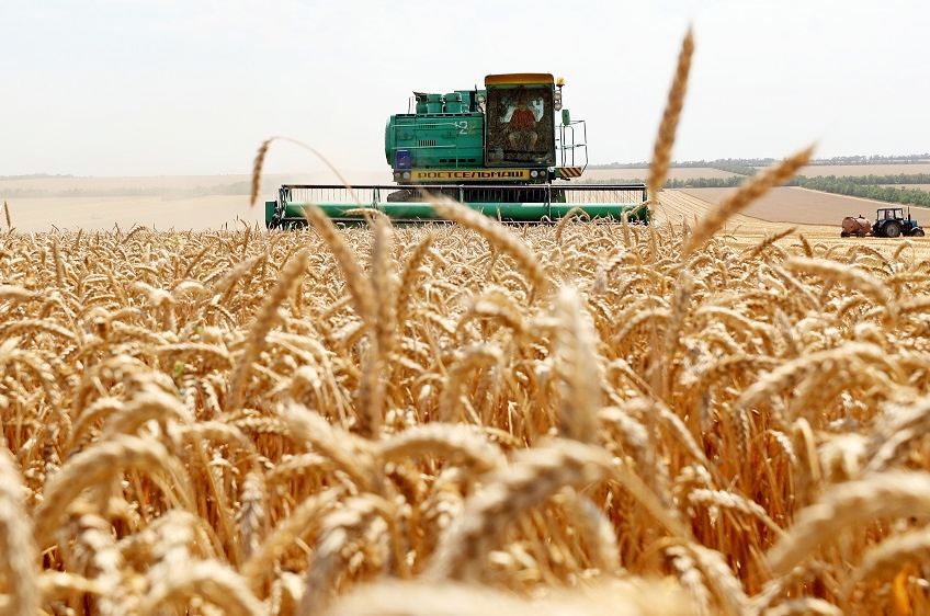 СМИ узнали о просьбе аграриев из регионов ограничить экспорт зерна