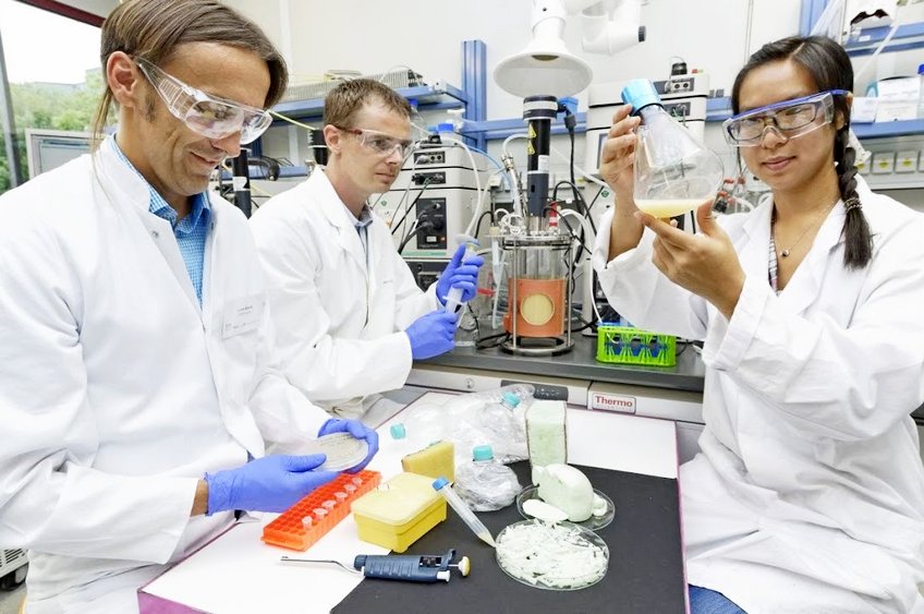 Ученые из Сибири и Индии разработали нетоксичный биопластик