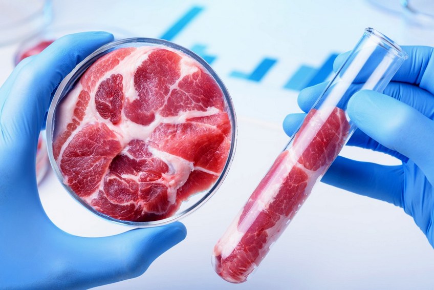 В Израиле открылось первое в мире промышленное предприятие по лабораторному выращиванию мяса