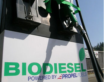Виды биотоплива