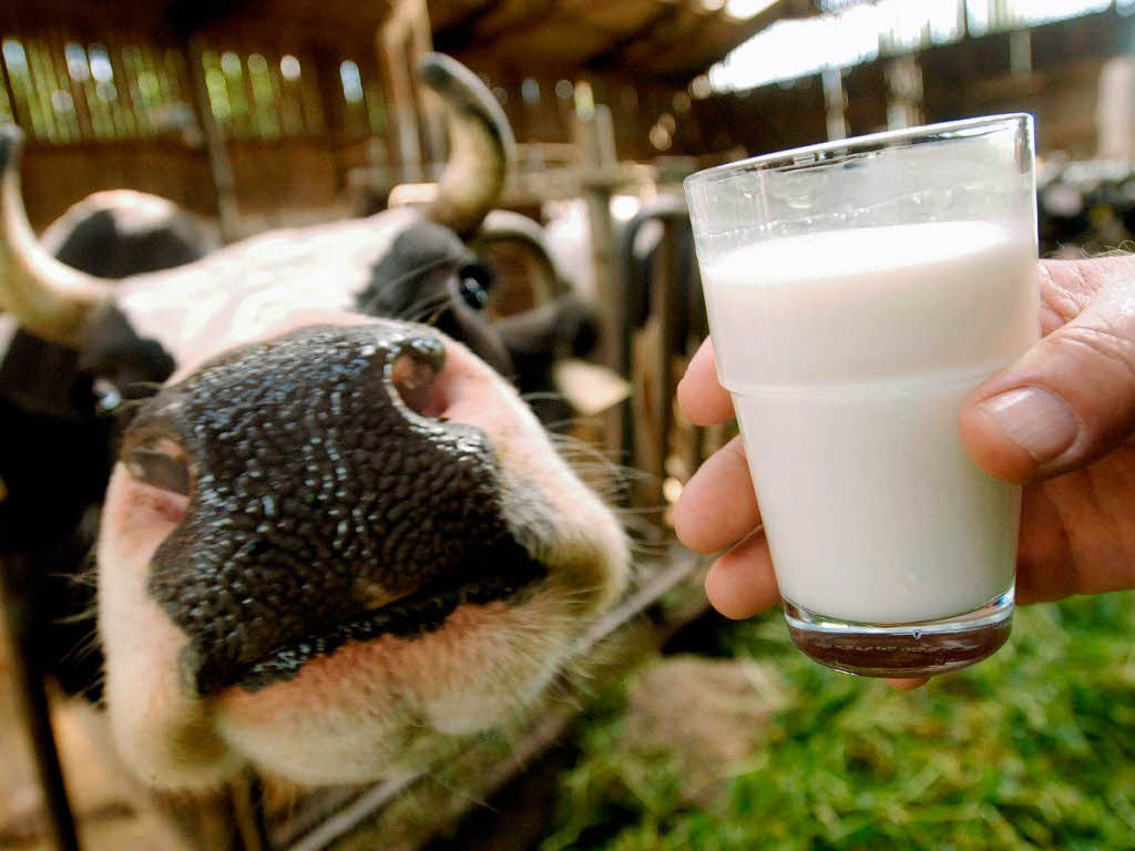 производители молока