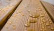 Адаптированная древесина – материал с управляемыми эксплуатационными свойствами