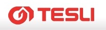 Логотип компании Тесли