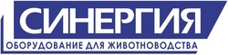 Логотип компании ООО СК Синергия