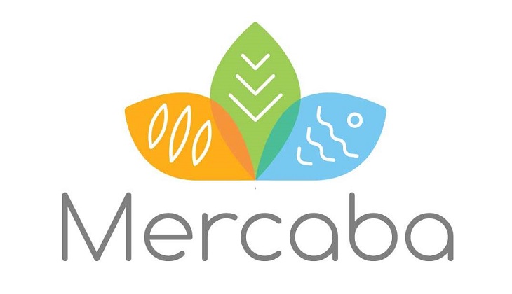 Меркаба (Mercaba)