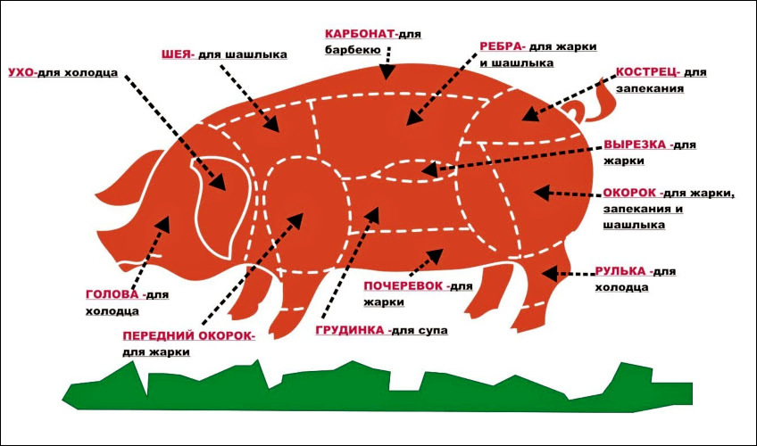 Как разделать свиную тушу
