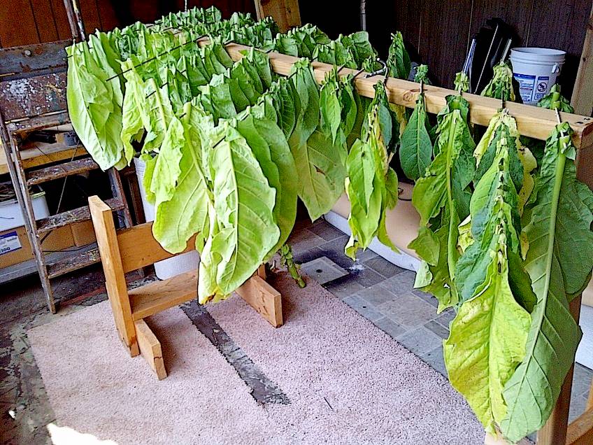 Стеллаж для сушки табачных листьев